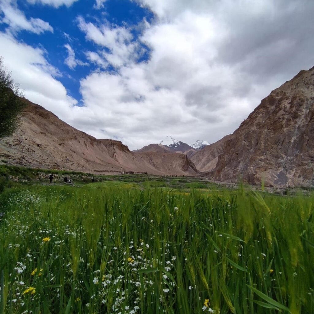 Markha Valley Trek