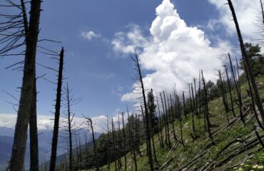 Kashmir Wildfires