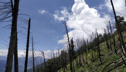 Kashmir Wildfires