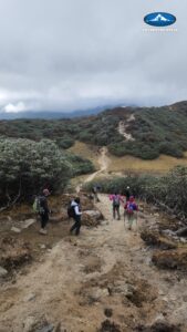 Goecha La Trek, Sikkim Trek, Sikkim Himalayas