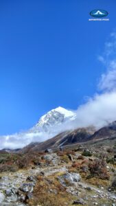 Goecha La Trek, Sikkim, Himalayas, Dzongri, Kangchenjunga, Pandim