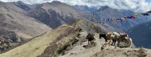 Bhutan Trek, A mountain pass on the Druk Path Trek