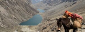 Bhutan Trek, Twin lakes seen from Druk Path Trek in Bhutan