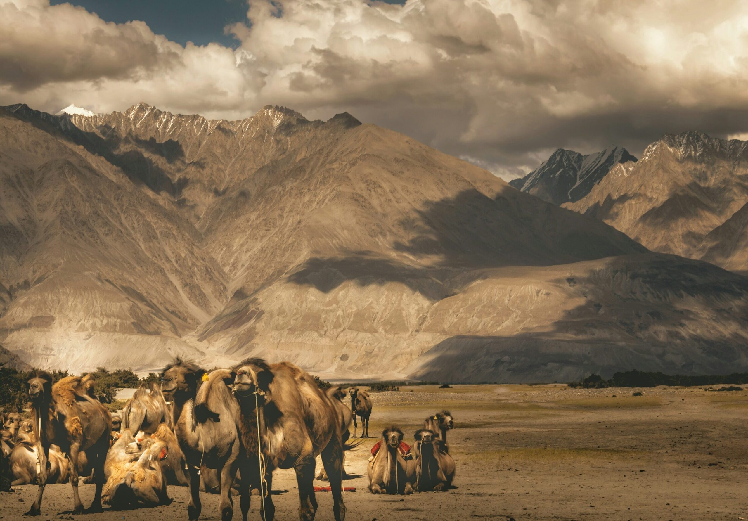gaurav-sehara-GuH-a9m57F0-unsplash