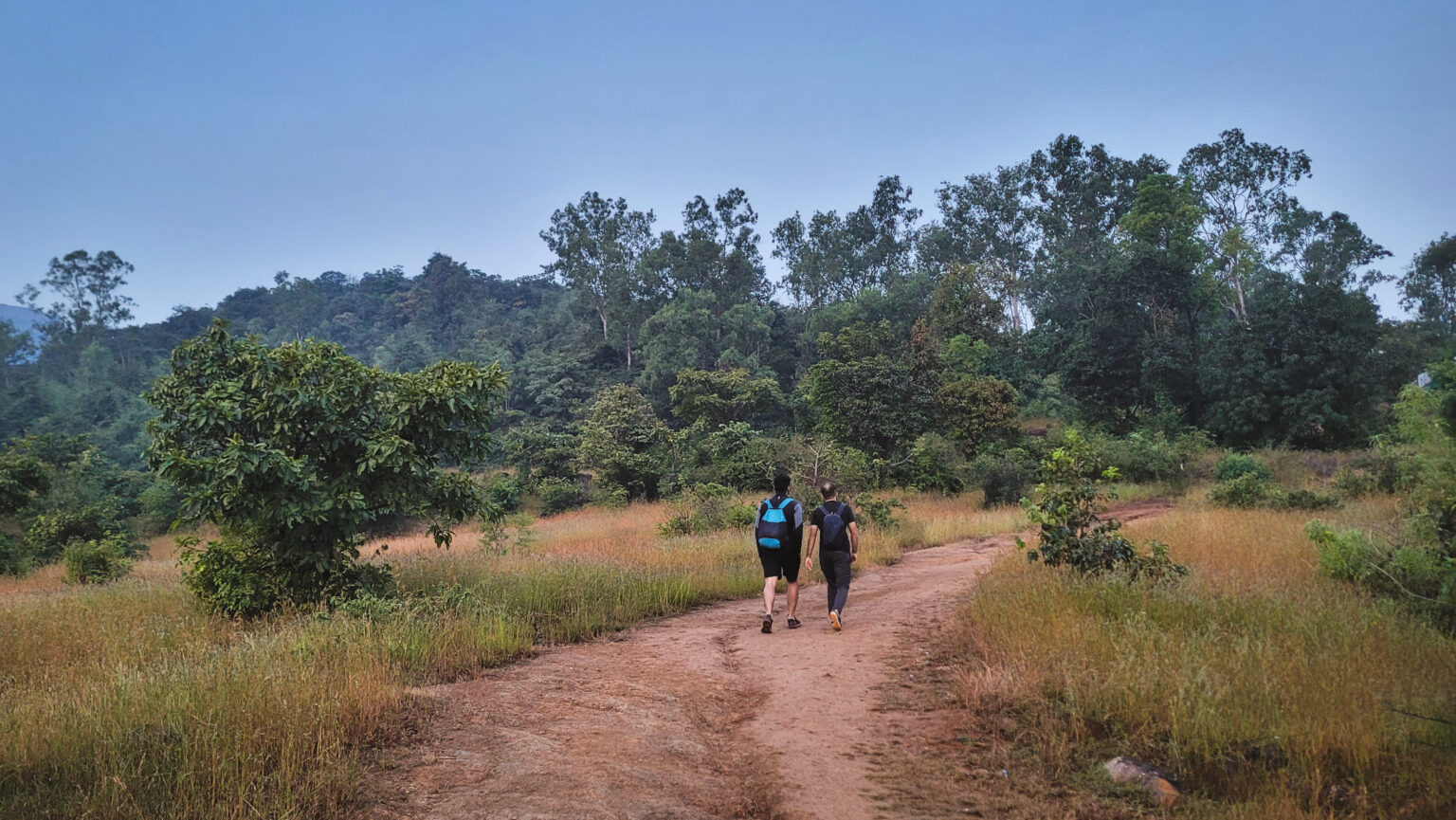 Rajgad Fort - 30 Photos of the Maratha Empire's First Capital!