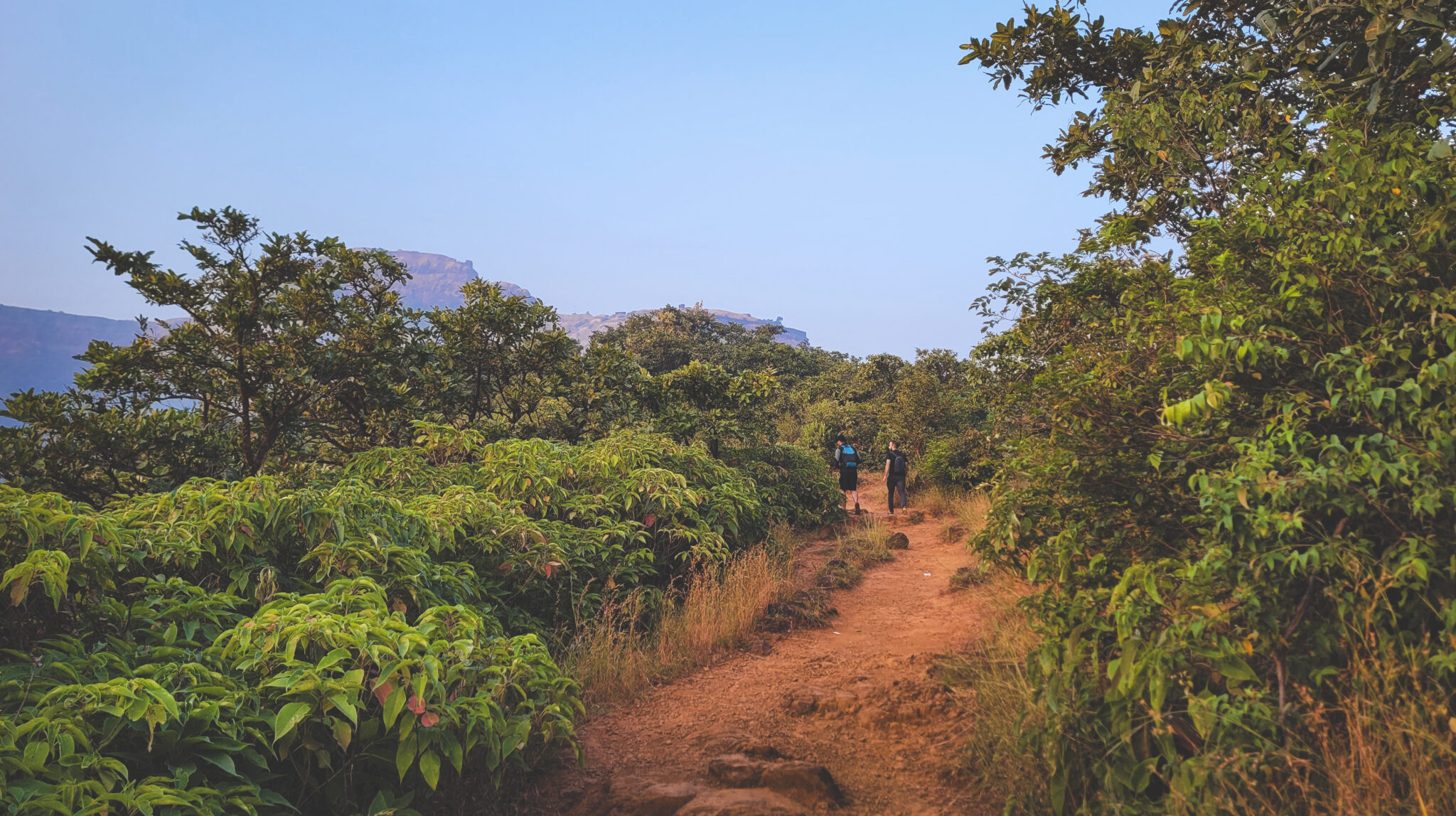 Rajgad Fort - 30 Photos of the Maratha Empire's First Capital!