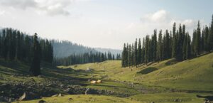 manali trekking
