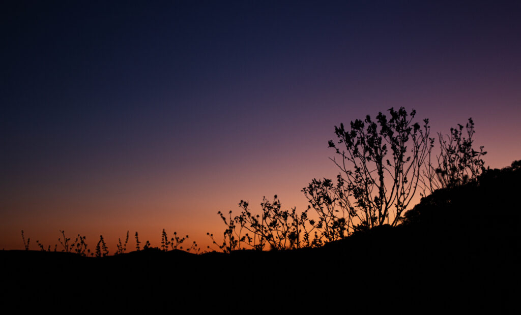 Break of dawn at Konkankada