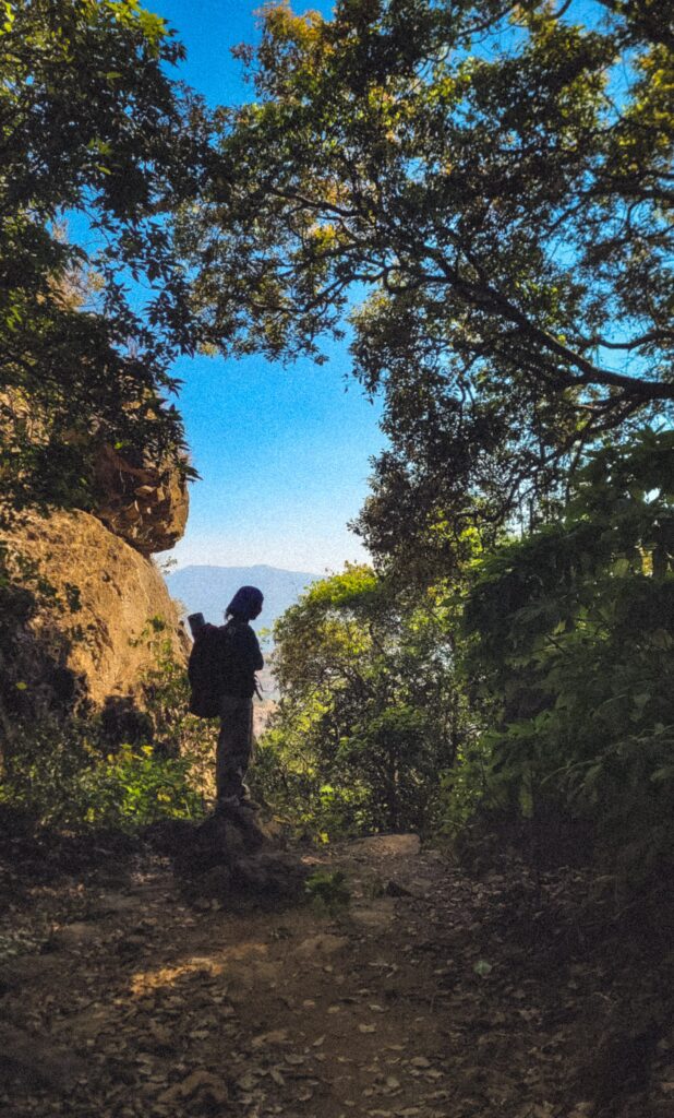 Silhouettes in the jungle below Tolar Khind.