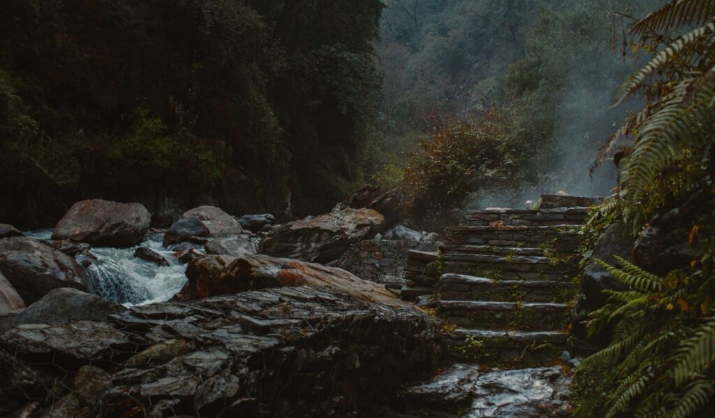stunning-paths-of-lush-forest-towards-ghorepani-and-chommrung