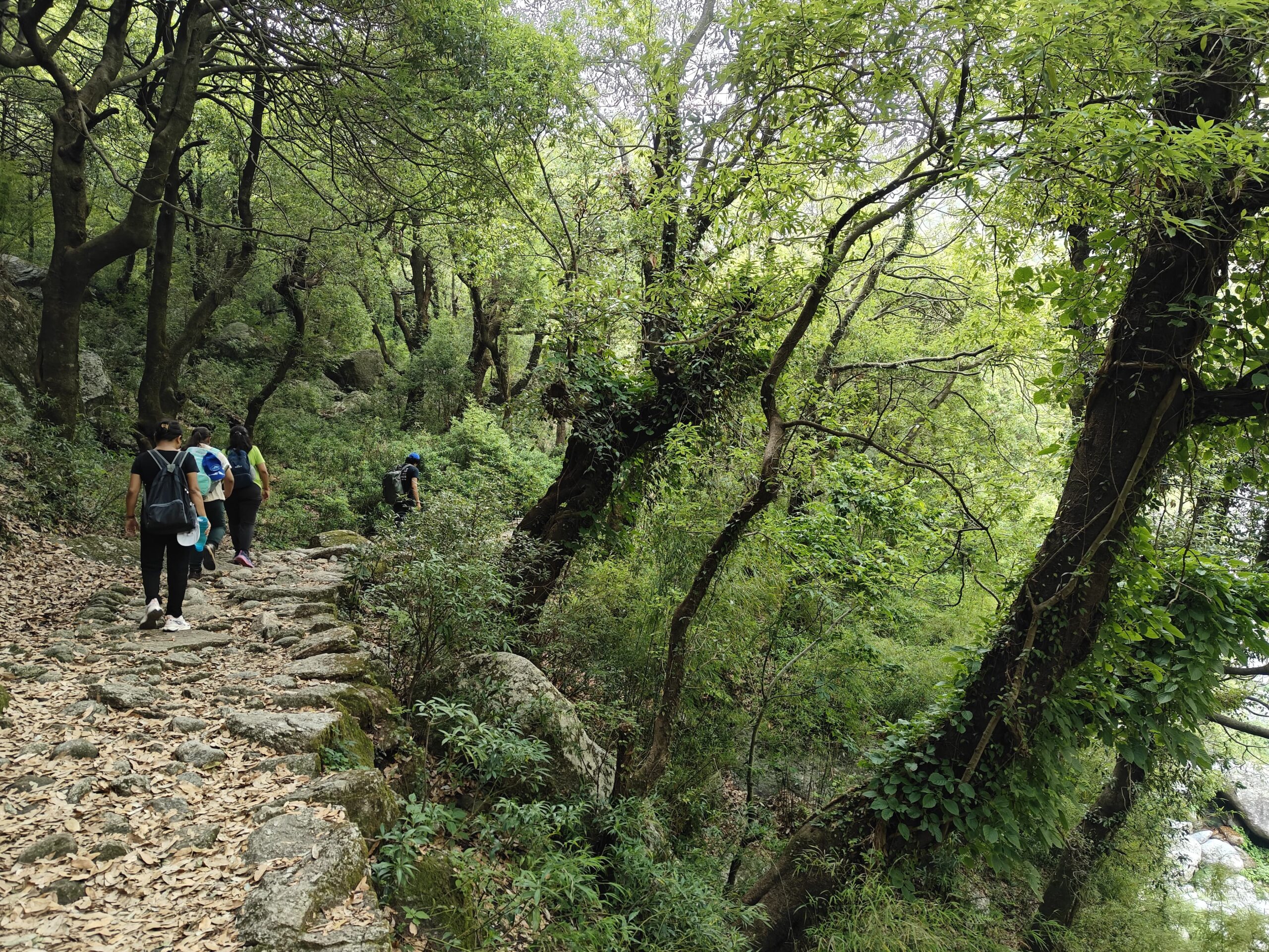 Baleni Pass Trek Himachal Adventure Pulse 7 scaled