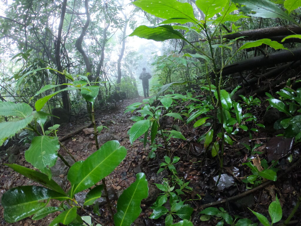 Nature trail, hiking, Andharban trek