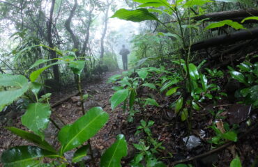 Nature trail, hiking, Andharban trek