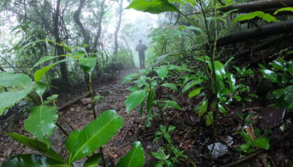 Nature trail, hiking, Andharban trek