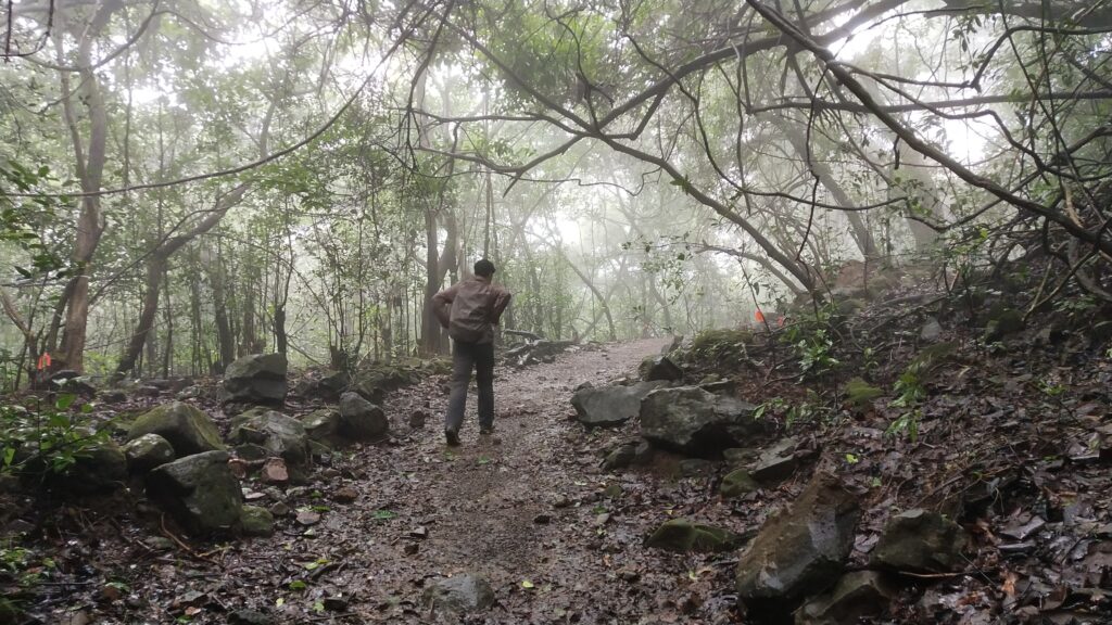 hiking, andharban forest trek