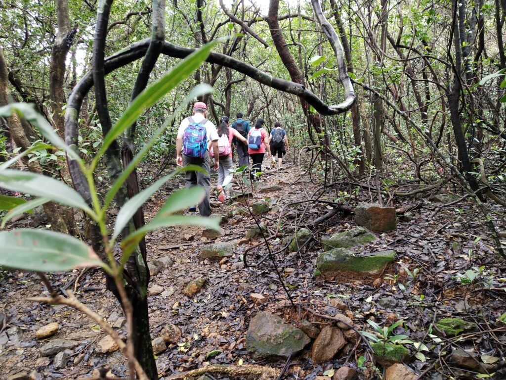 andharban, jungle, trekking, pune, sahyadris