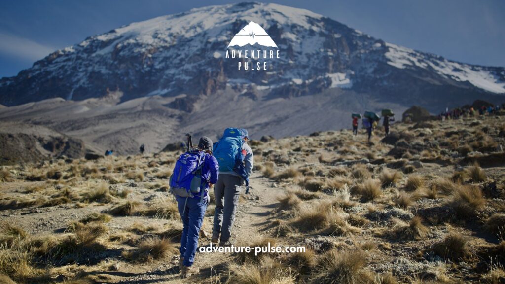 Climbers approaching towards Kilimanjaro, Kilimanjaro, Mountain, Trekkers