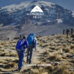 Climbers approaching towards Kilimanjaro, Kilimanjaro, Mountain, Trekkers
