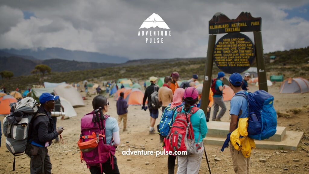 Kilimanjaro. Africa, Camp, Trekking, Summit