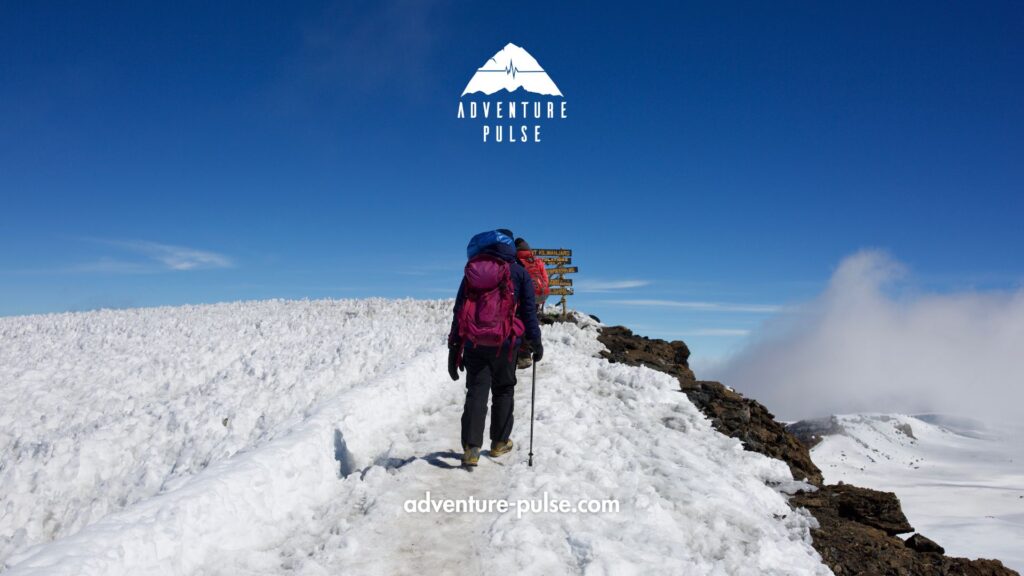 Trekkers on the snowy summit of Kilimanjaro.