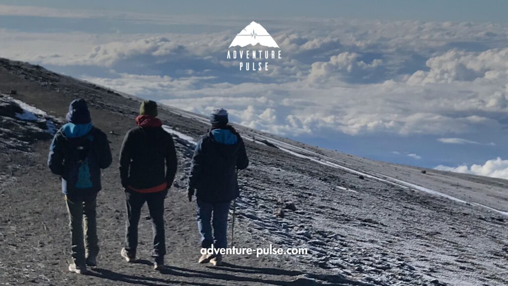 Trekkers on Mt. Kilimanjaro