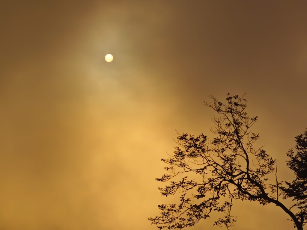 Sunset view