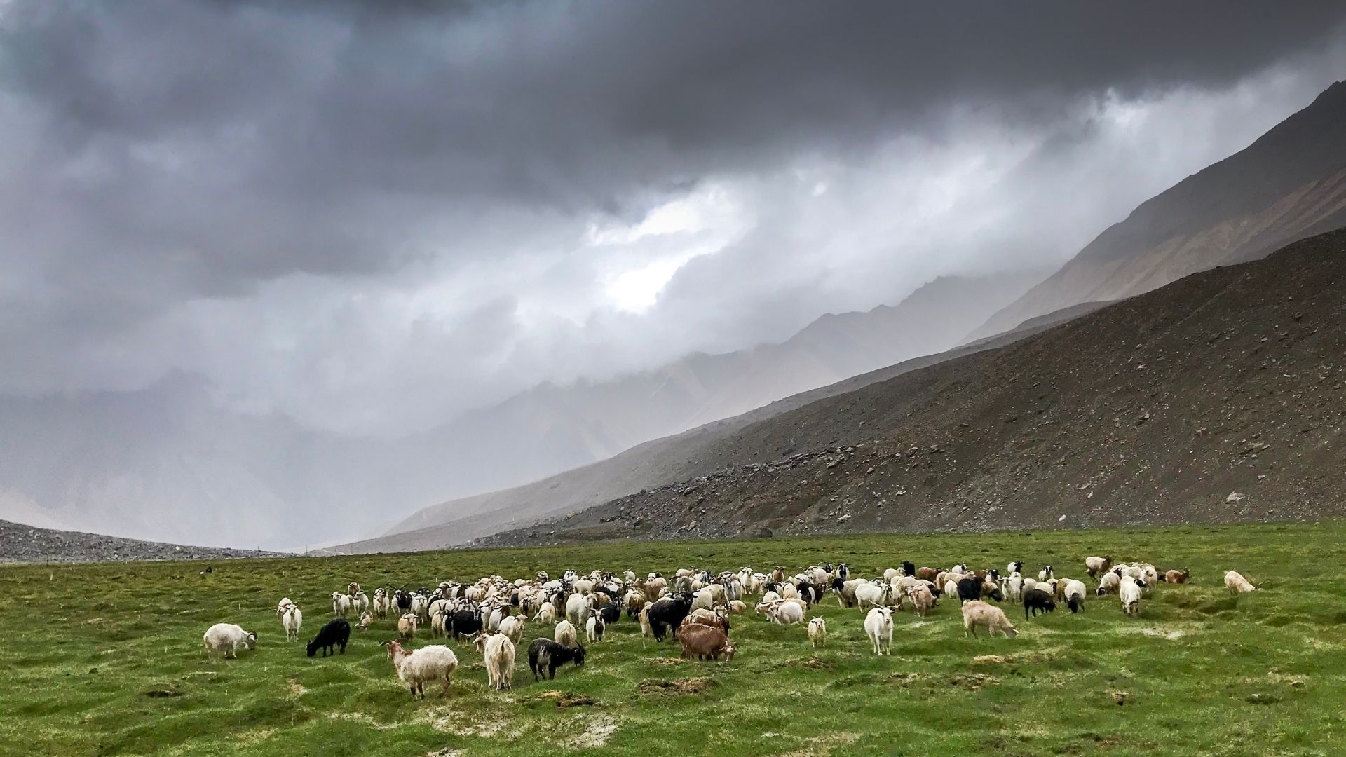 2026 Himalayan Treks 7