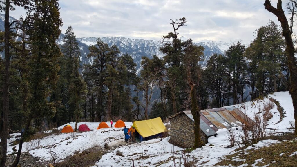 Dodital Darwa 13