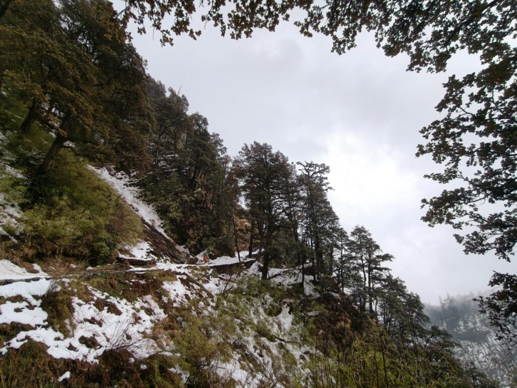 Dodital Darwa 16