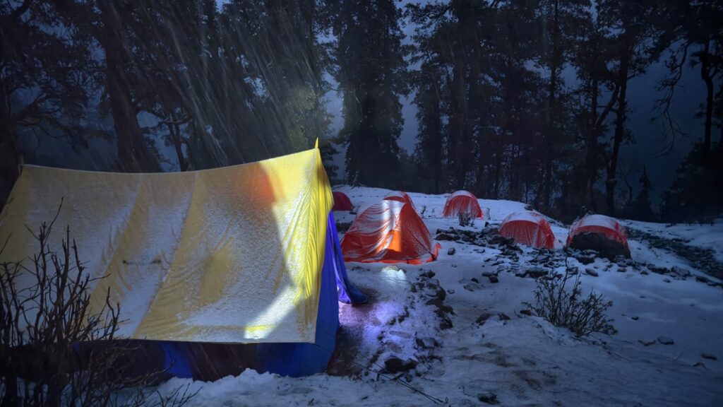 Dodital Darwa 20
