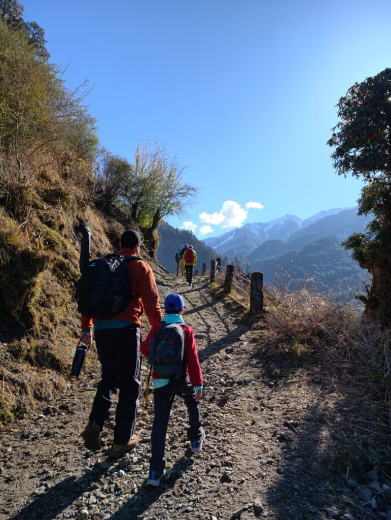 Dodital Darwa 5