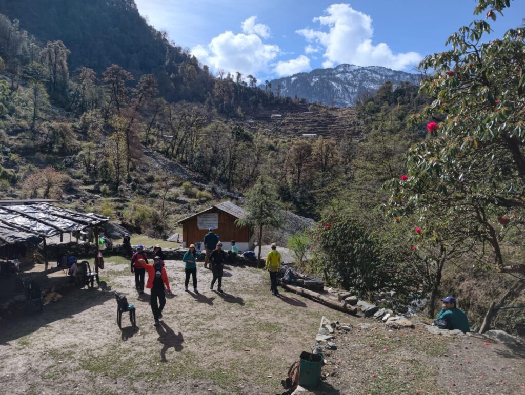 Dodital Darwa 6