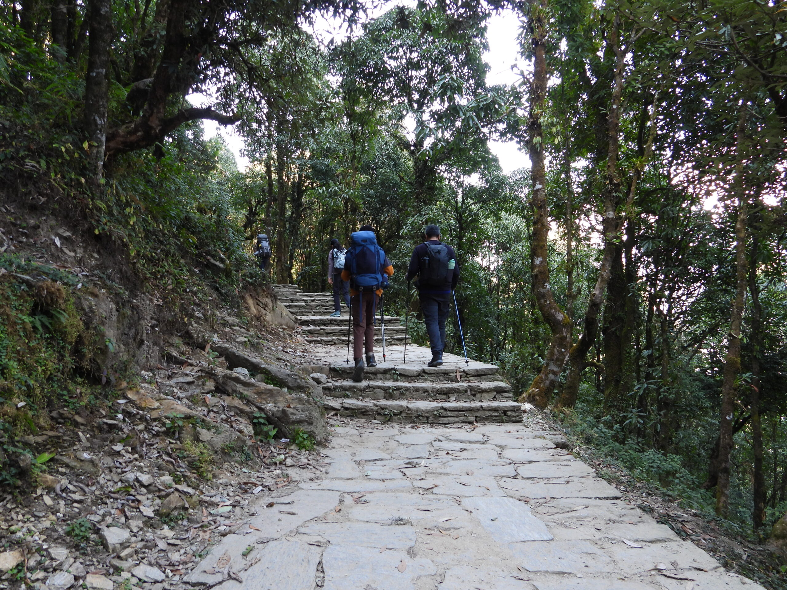 Mardi Himal Trek Adventure Pulse 5 scaled