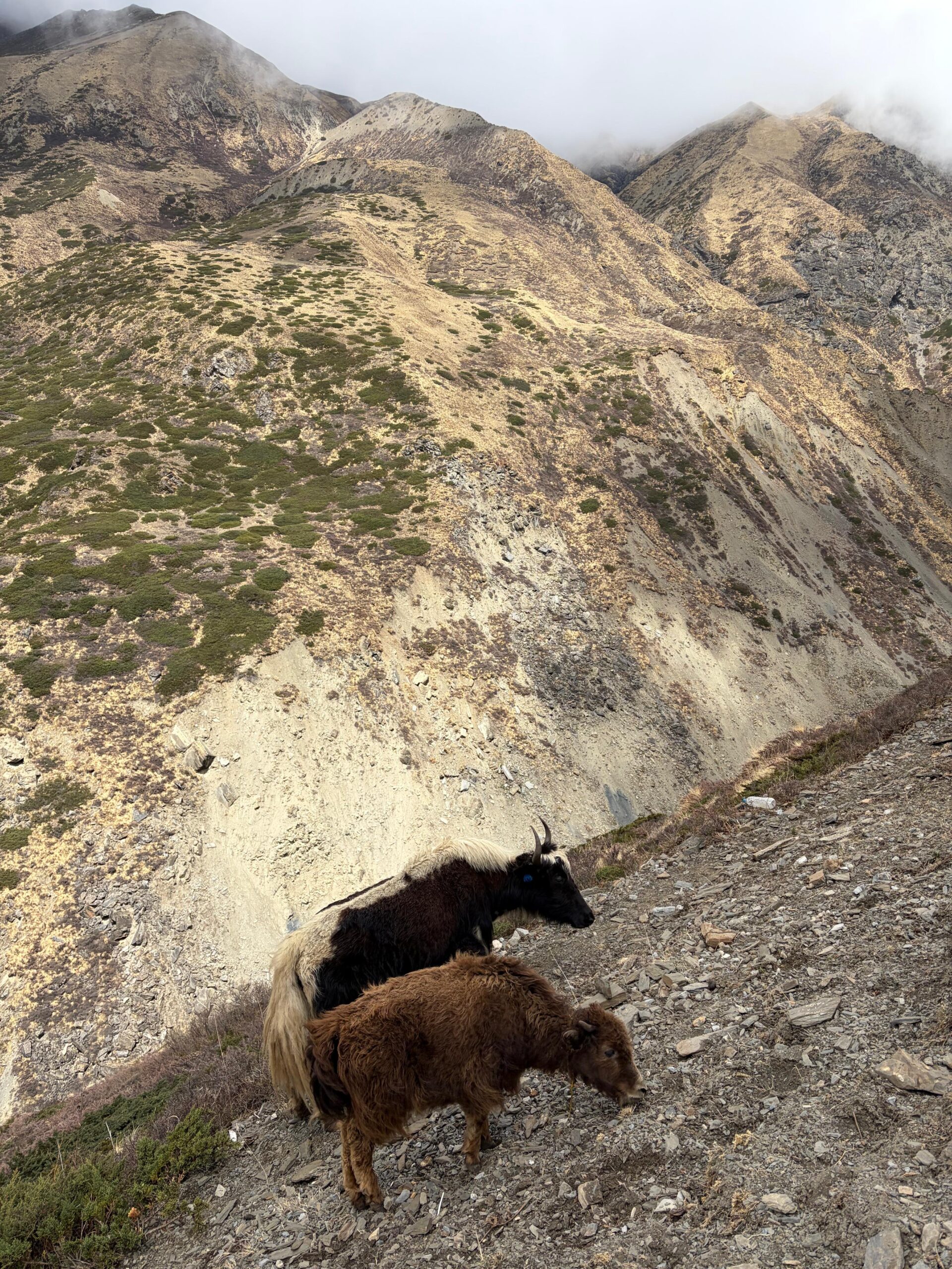 Annapurna Circuit Trek Adventure Pulse 33 scaled