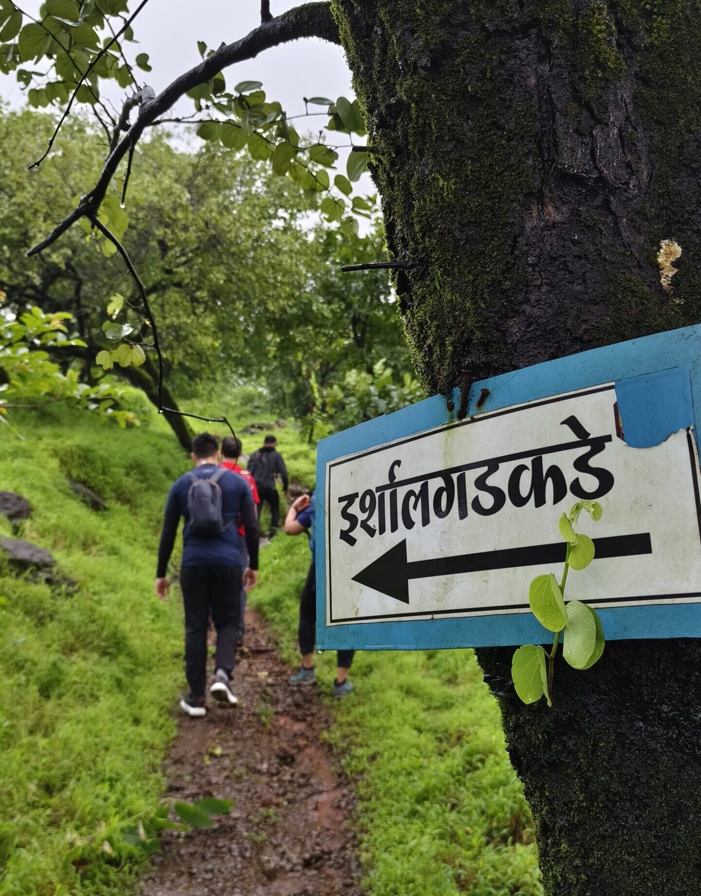 Irshalgad Trek Adventure Pulse 20 scaled e1791446251200
