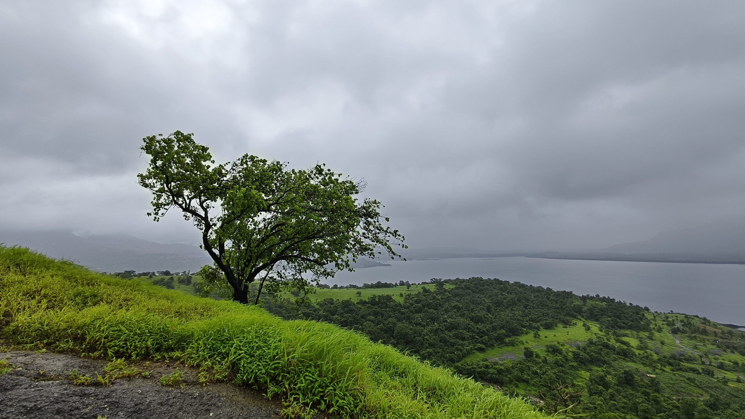 Irshalgad Trek Adventure Pulse 31 scaled