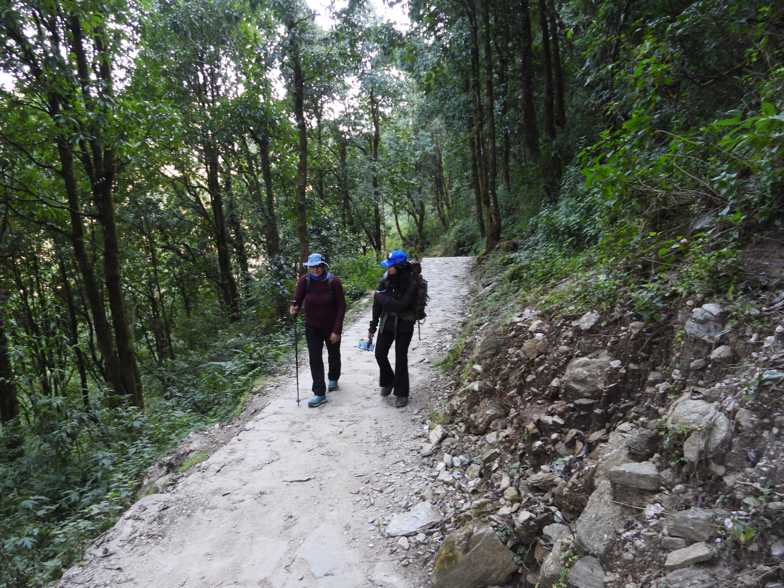 Mardi Himal Trek Adventure Pulse 23 scaled