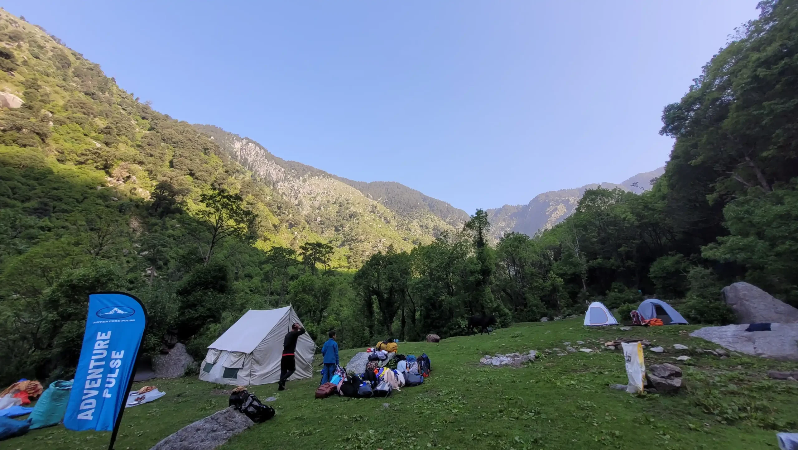 Why Adventure Pulse Is a Top Choice Among Trekking Companies in india scaled